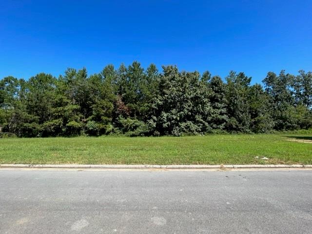28 Ridgeline Way Cartersville, GA 30121 - Photo 7 of 18 Gallery Image 7