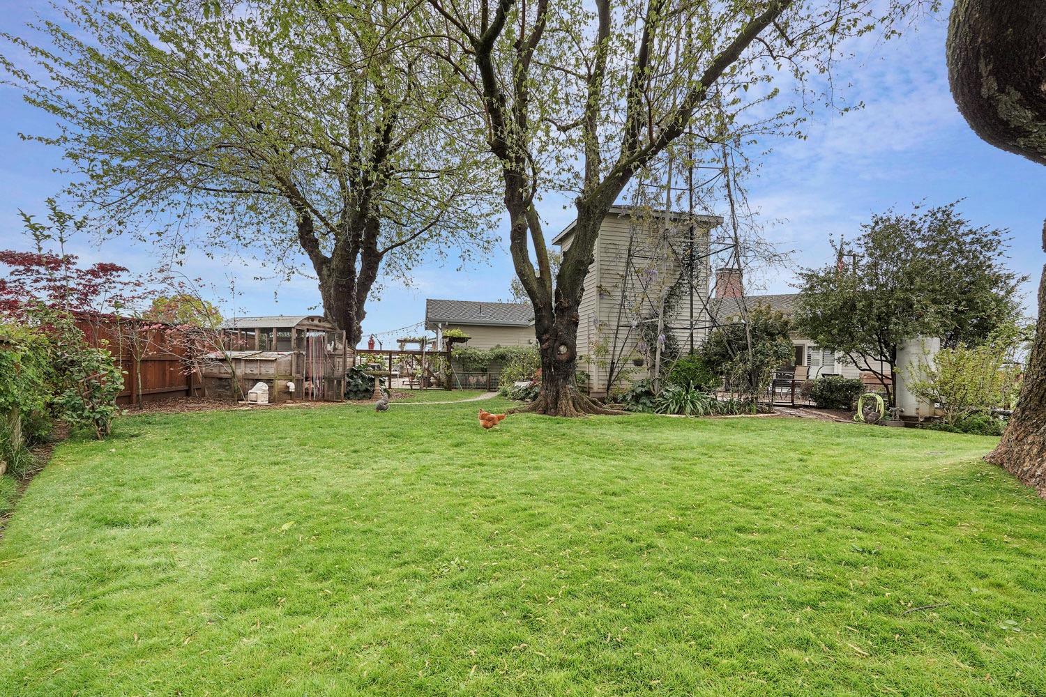 15757 East Sargent Road Lodi, CA 95240 - Photo 79 of 82