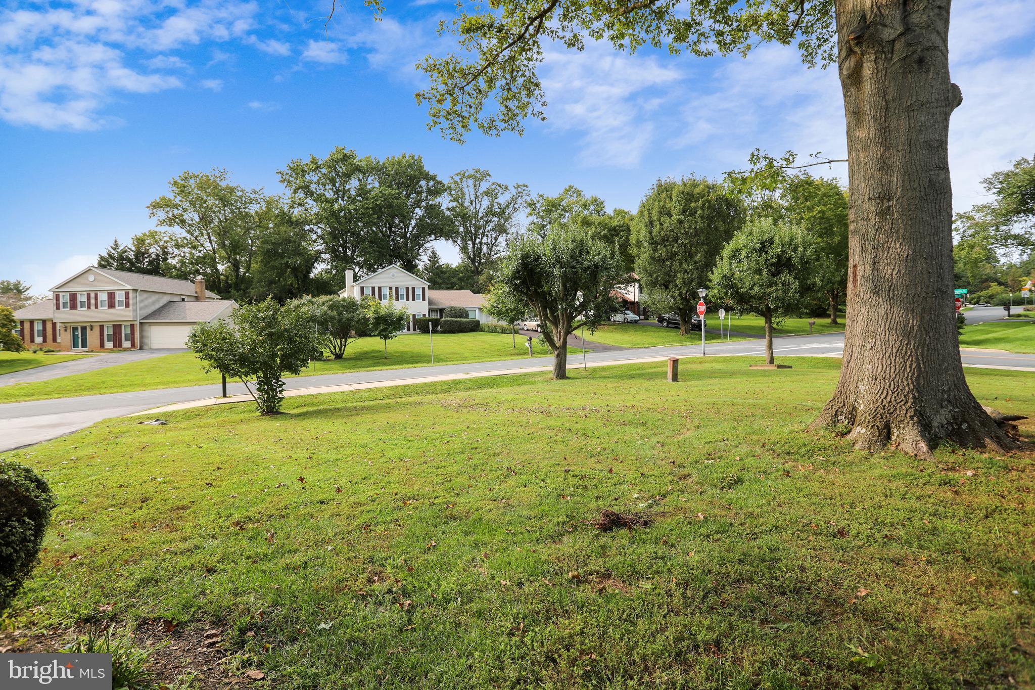14825 Notley Road Silver Spring, MD 20905 - Photo 54 of 60 A look out to the street