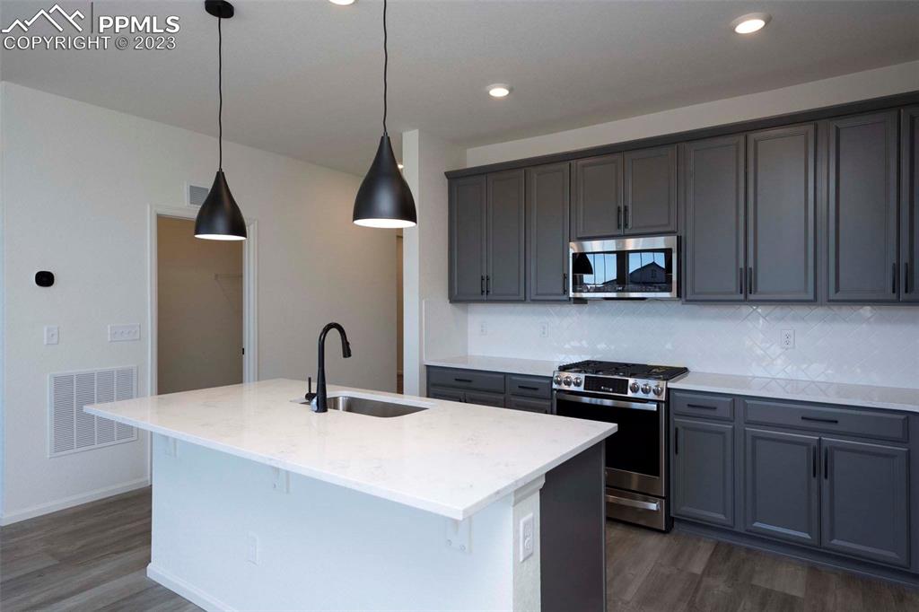 2045 Peachleaf Loop Castle Rock, CO 80108 - Photo 16 of 21 a kitchen with kitchen island a sink appliances and cabinets