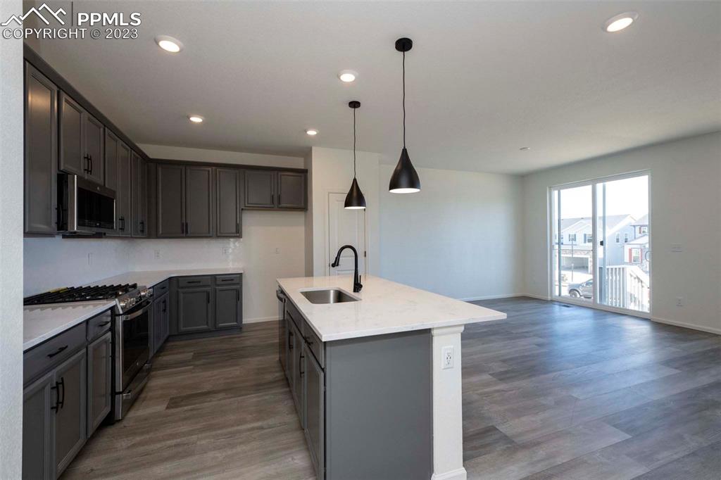 2045 Peachleaf Loop Castle Rock, CO 80108 - Photo 17 of 21 a kitchen with kitchen island a sink stainless steel appliances and cabinets