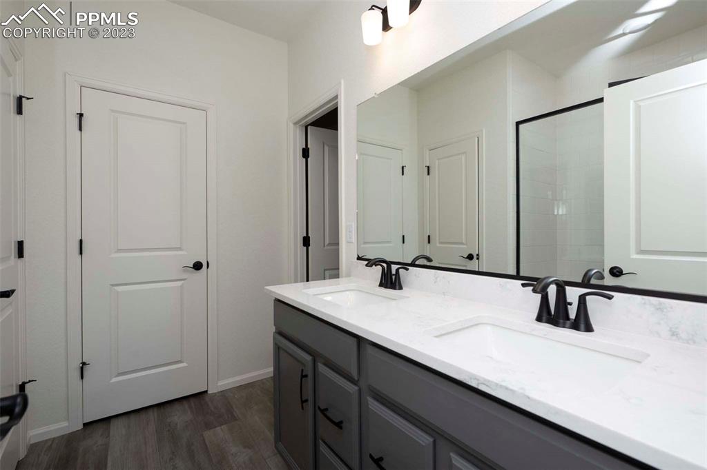 2045 Peachleaf Loop Castle Rock, CO 80108 - Photo 19 of 21 a bathroom with a sink and a mirror