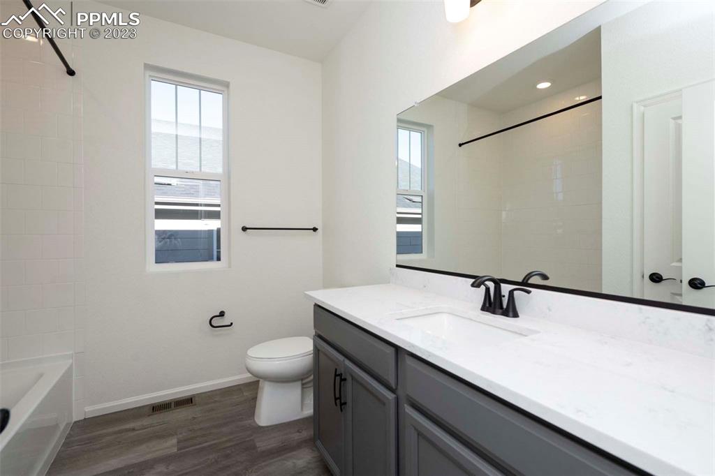 2045 Peachleaf Loop Castle Rock, CO 80108 - Photo 4 of 21 a bathroom with a sink a toilet and mirror