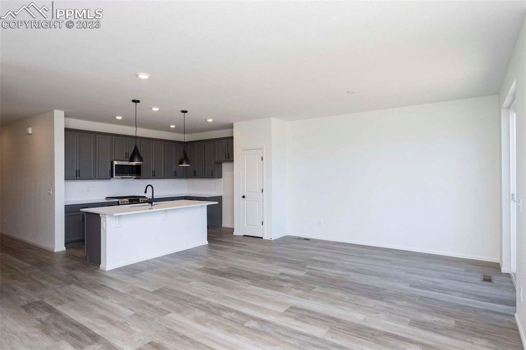 2045 Peachleaf Loop Castle Rock, CO 80108 - Photo 10 of 21 a kitchen with a sink stainless steel appliances and cabinets