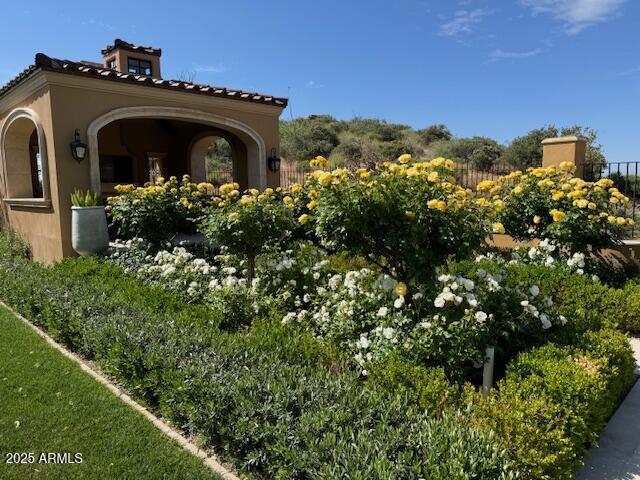 11179 East Honda Bow Road Scottsdale, AZ 85262 - Photo 63 of 76 Ramada Roses in Bloom