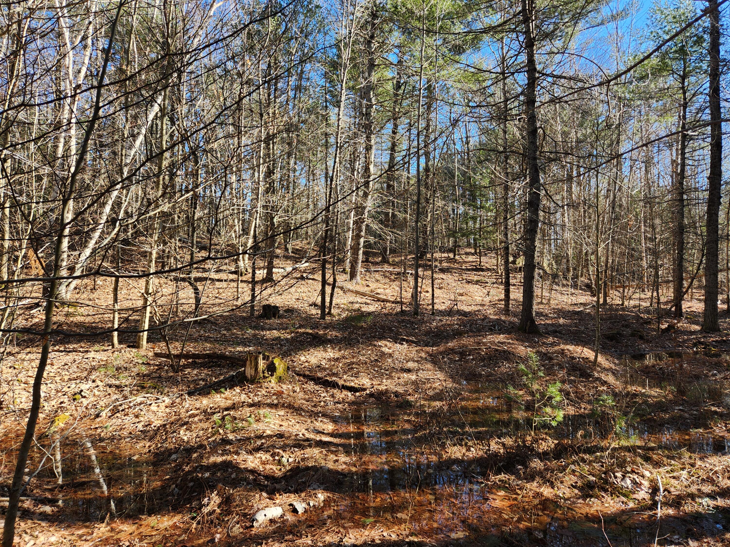 668 Gurneytown Road Appleton, ME 04862 - Photo 16 of 19 20240312_152459