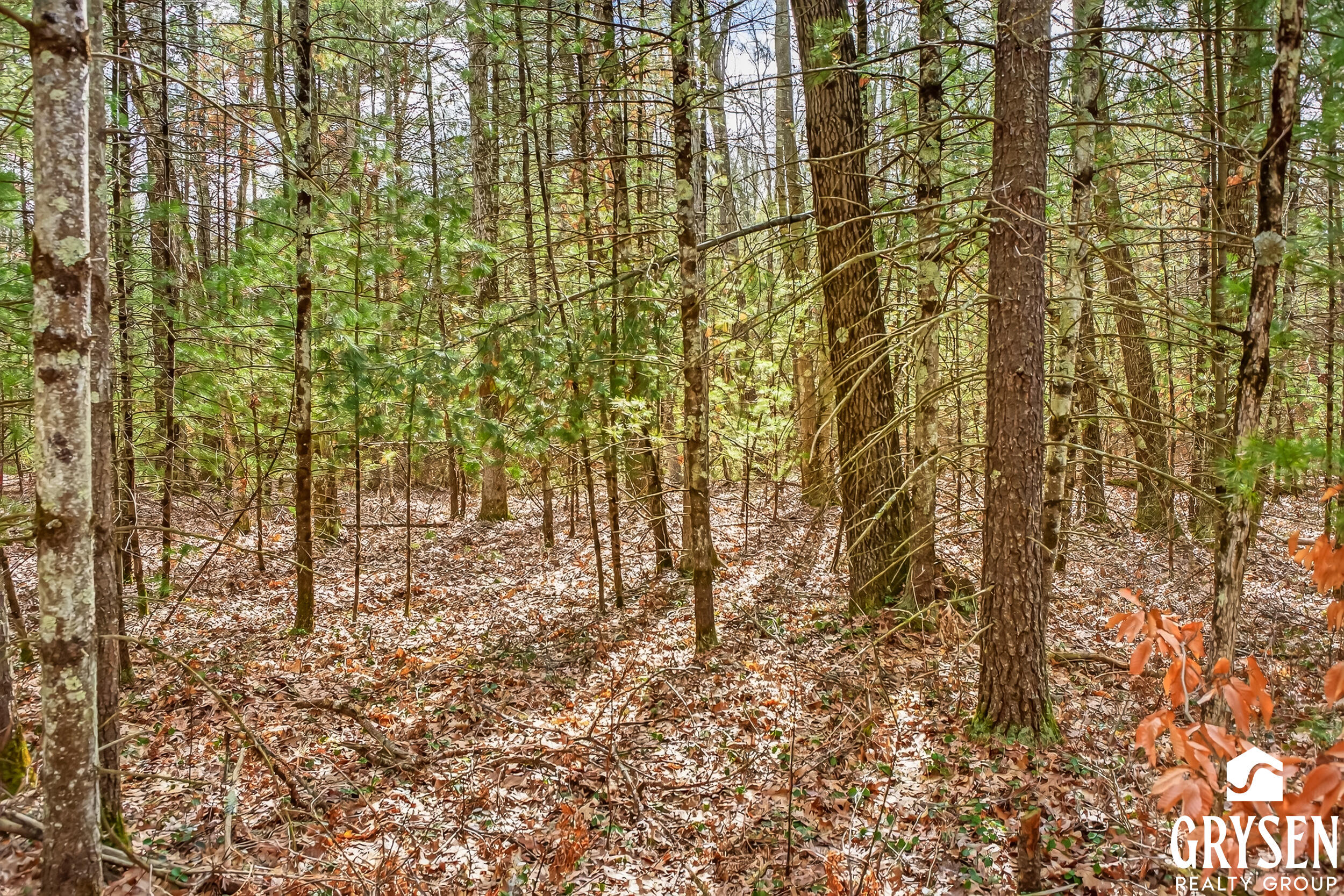 2635 West Meinert Road Montague, MI 49437 - Photo 11 of 21 Ground View