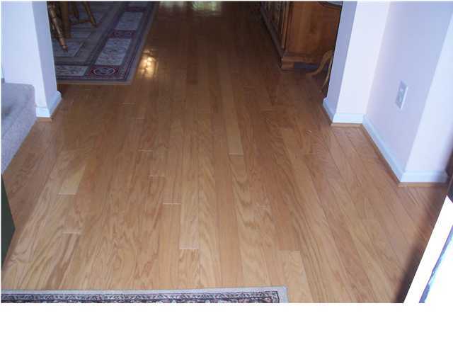 804 Long Drive Road Summerville, SC 29485 - Photo 2 of 4 Additional Photo