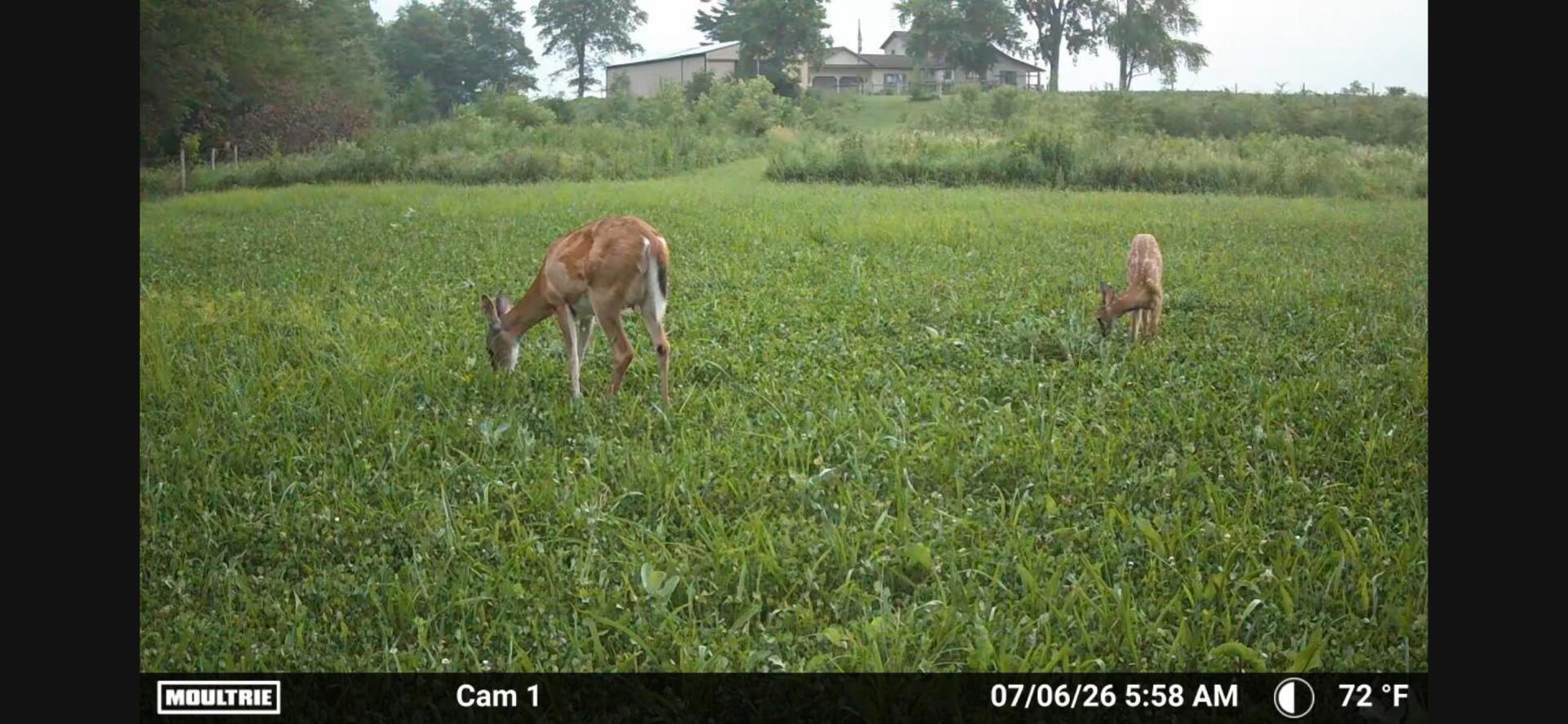 10239 Krugh Road Mendon, OH 45862 - Photo 37 of 52 e51f08bc-fed7-4a45-b971-3b60a2b7f5bc