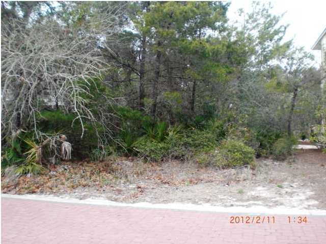12 J Lifeguard Loop East Inlet Beach, FL 32461 - Photo 9 of 9 a view of a dry yard with trees