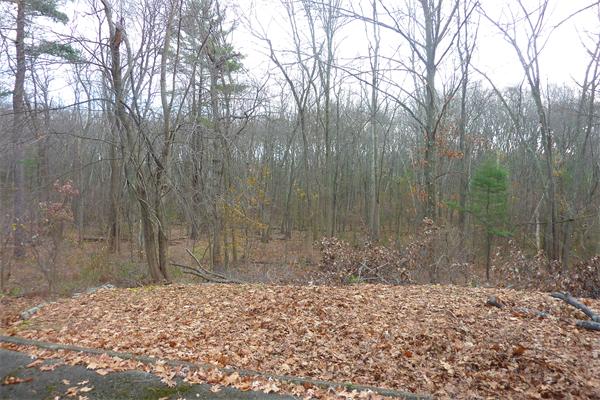 96-100 Van Norden Road Reading, MA 01867 - Photo 4 of 6 Gallery Image 4