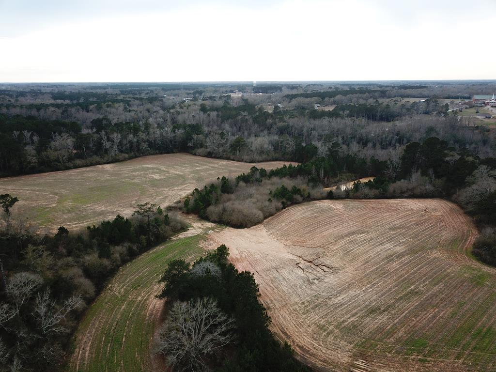 50.45-acres Trawick Road Dothan, AL 36301 - Photo 48 of 62