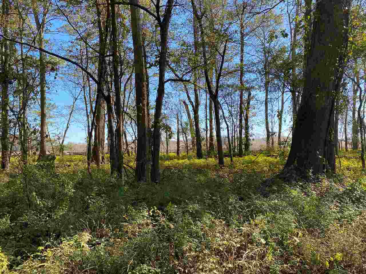 0 Ziegler Road, Unit 21 Vicksburg, MS 39183 - Photo 2 of 4 Photo 2