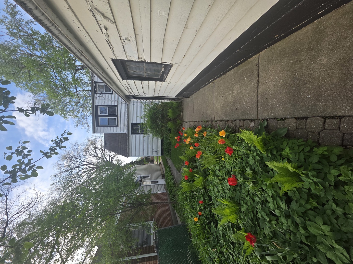 1815 Cleveland Street Evanston, IL 60202 - Photo 20 of 22 a picture of flowers