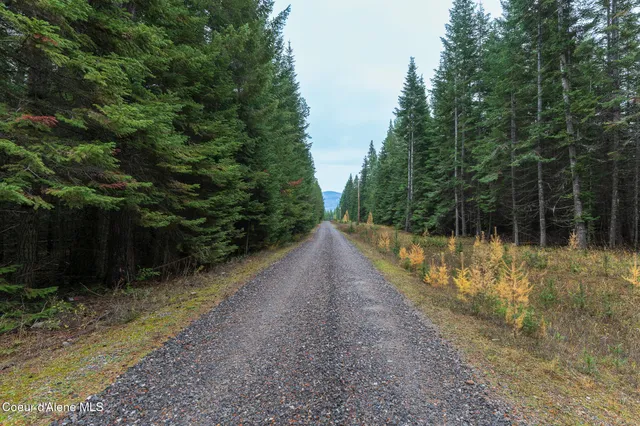 $1,199,000 | 10570 East Far Cry Road, Athol, ID 83801