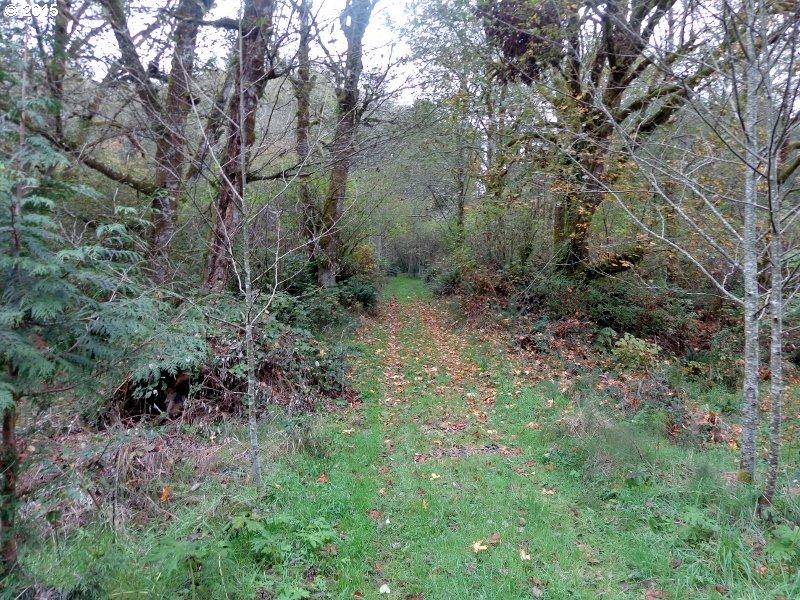 22505 Highway 101 South Beaver, OR 97112 - Photo 24 of 30 Prop4