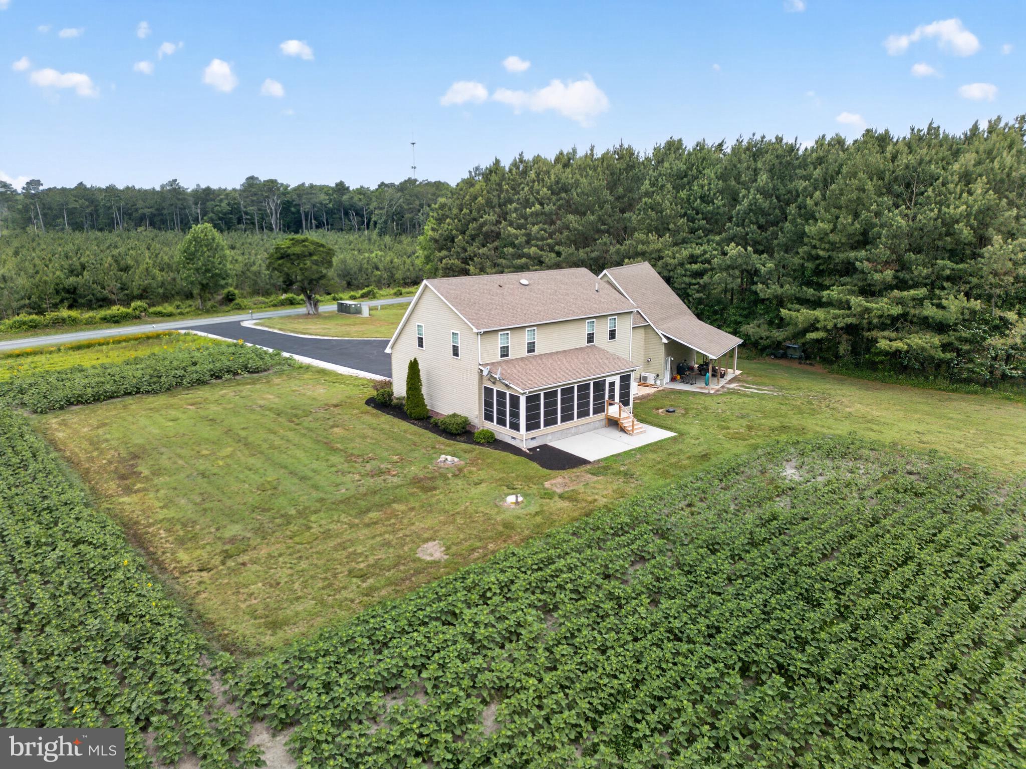 2435 Payne Road Pocomoke City, MD 21851 - Photo 11 of 85