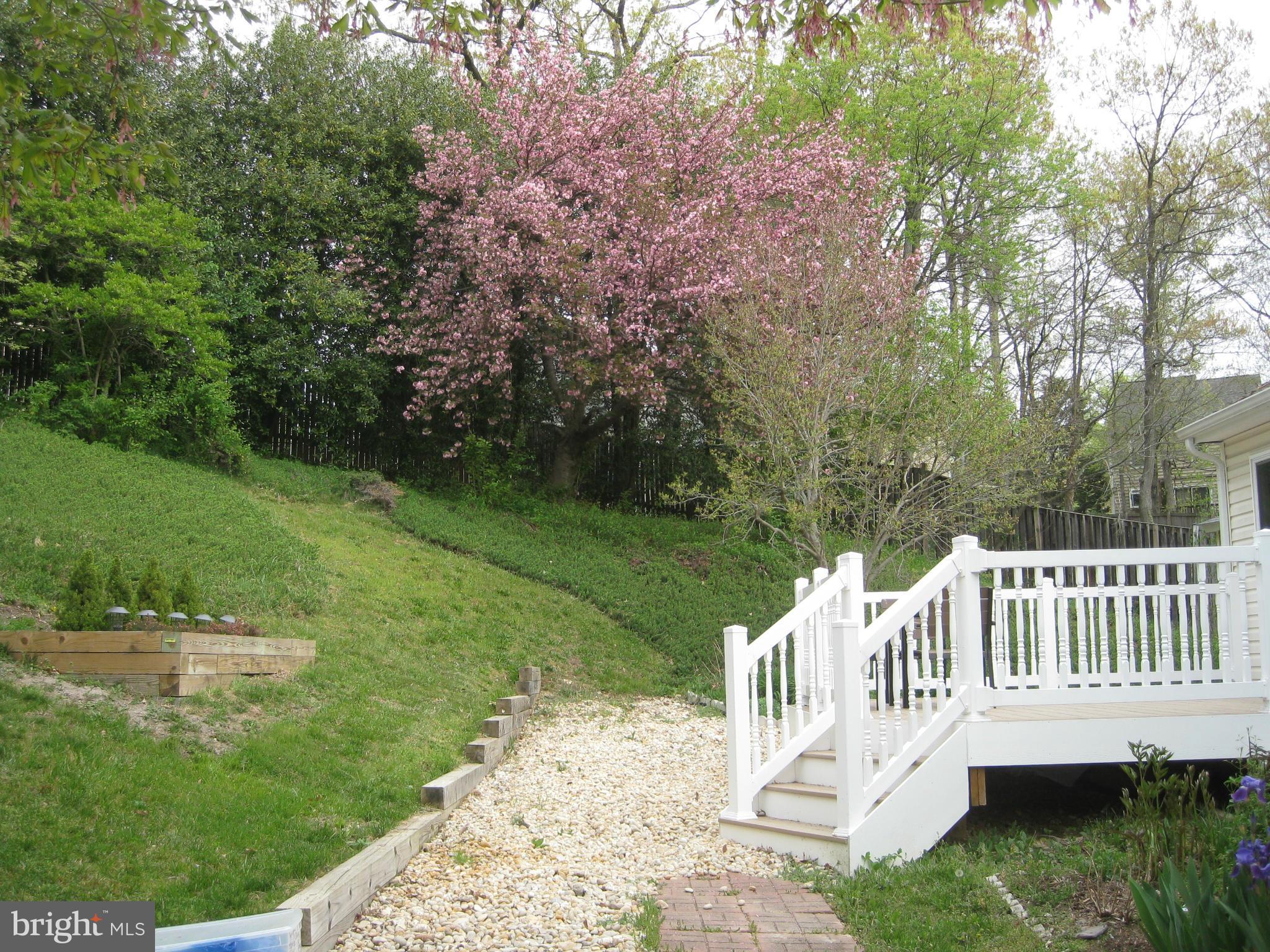 3116 Beethoven Way Silver Spring, MD 20904 - Photo 29 of 30 a view of a deck with a yard