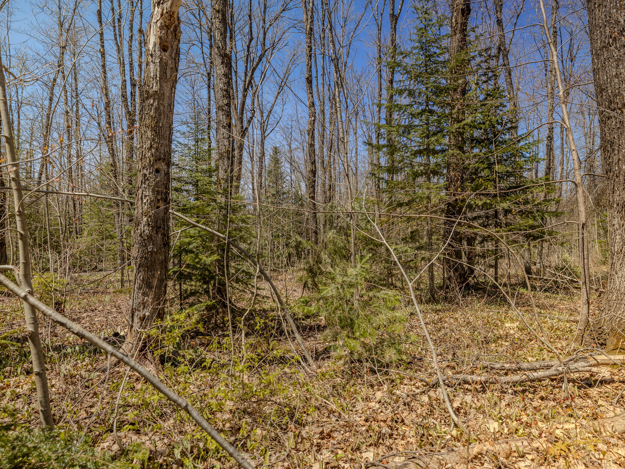 Lot3 East Shore Road Ewen, MI 49925 - Photo 20 of 25 048A2070-HDR