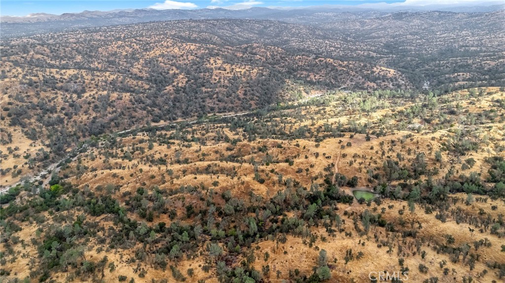 37749 Misty Ridge Road Raymond, CA 93653 - Photo 12 of 23 a view of a yard
