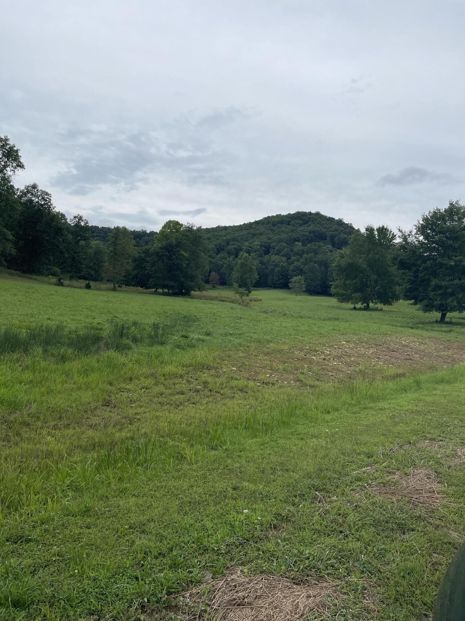 0 Watson Road Hillsboro, KY 41049 - Photo 3 of 7 DF10127F-B411-4A80-ADE1-86842E869919