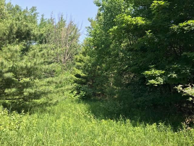 Rogers Road Alanson, MI 49706 - Photo 8 of 9 Gallery Image 8