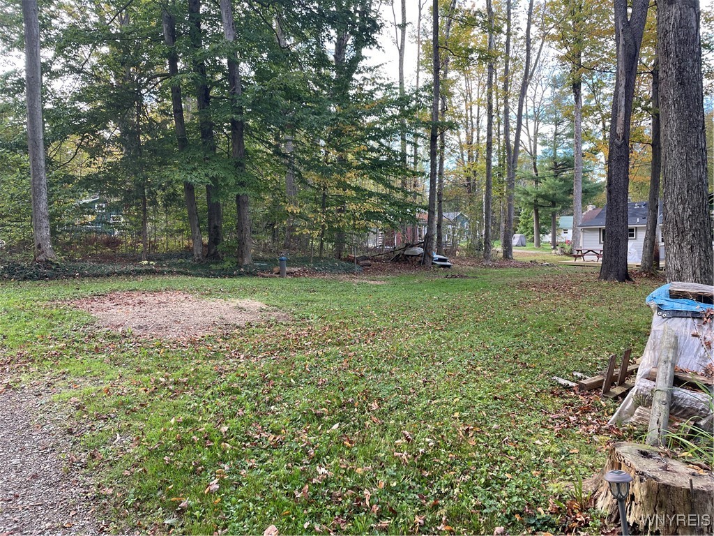 41 Morningside Drive Java, NY 14009 - Photo 28 of 31