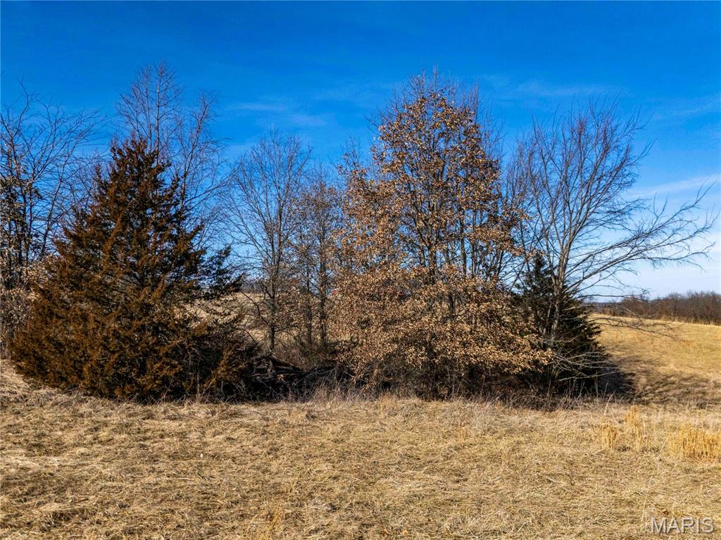 00 Kuntz Road Eolia, MO 63344 - Photo 17 of 29
