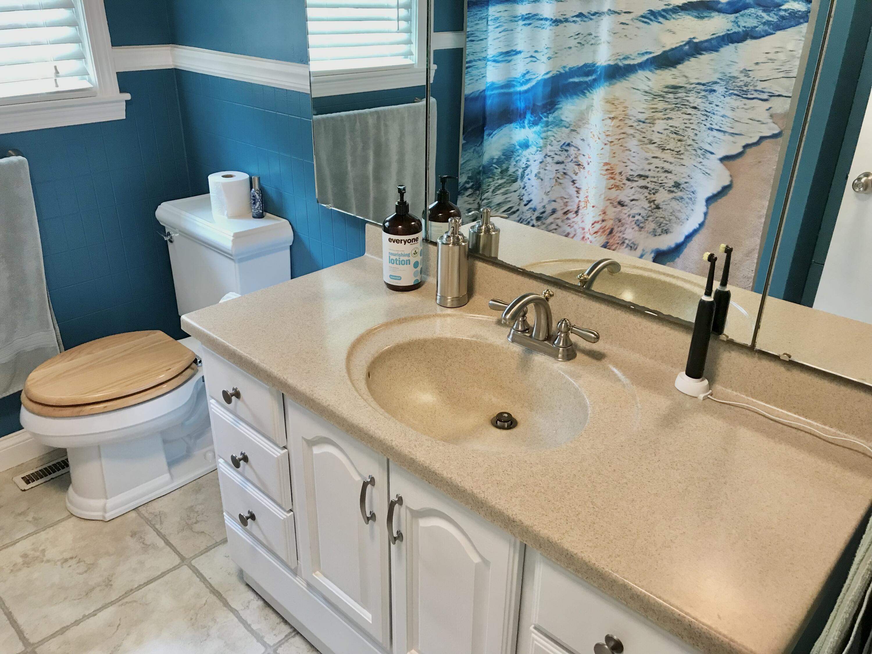 66223 Grey Lake Road Sturgis, MI 49091 - Photo 31 of 58 Main bath