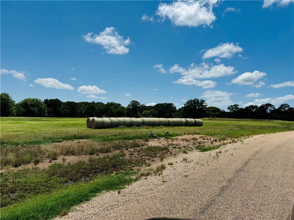 4 Hudson Farms Road Hearne, TX 77859 - Photo 2 of 11 Gallery Image 2