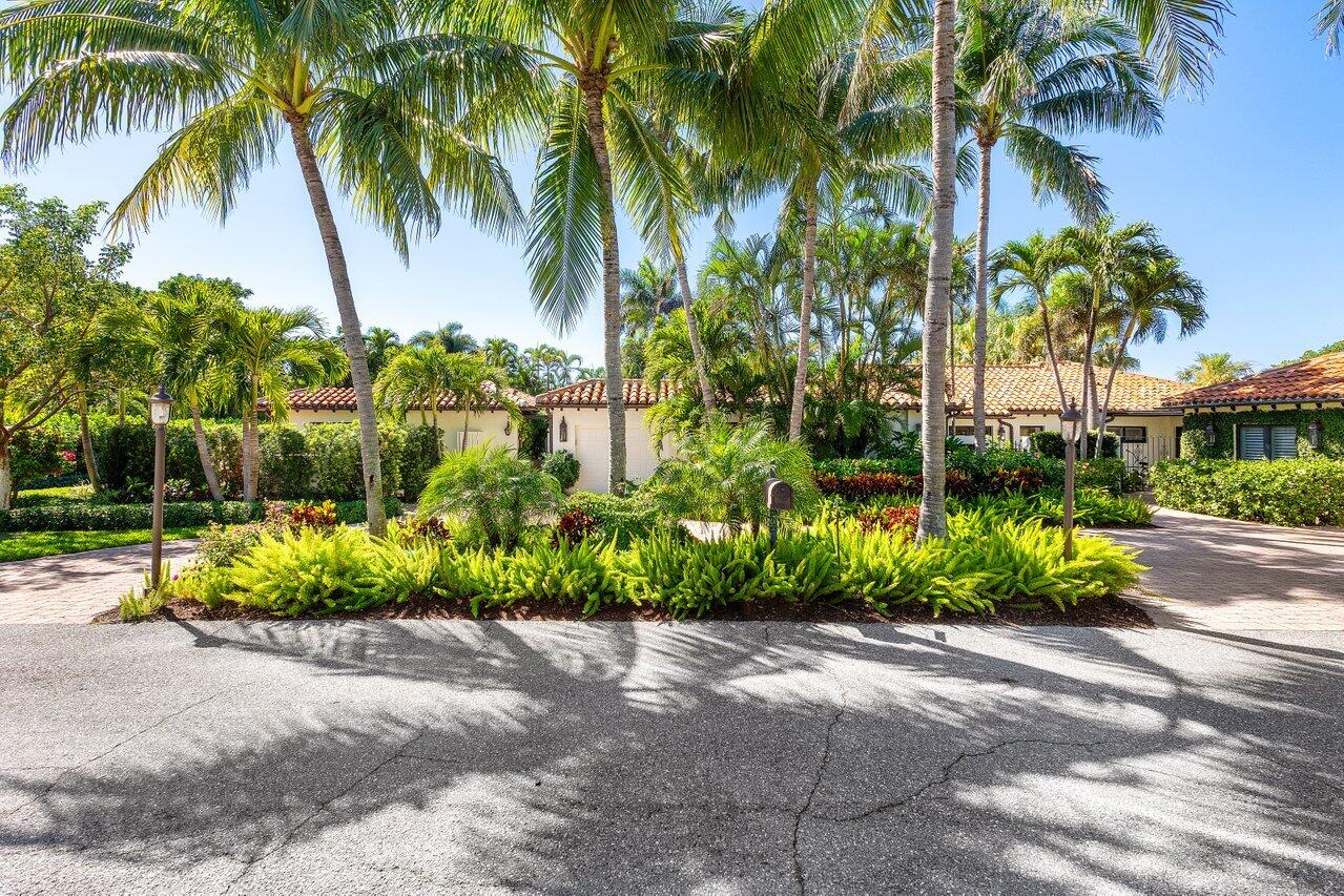 16 Little Pond Road Manalapan, FL 33462 - Photo 1 of 38 a view of a garden with a palm tree
