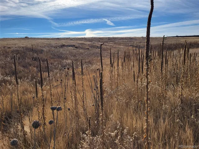 $350,000 | 35635 County Road 160, Agate, CO 80101