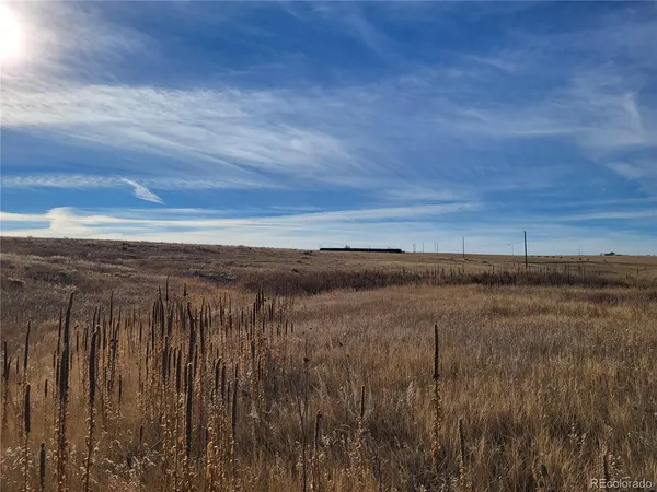 a view of a backyard of the house