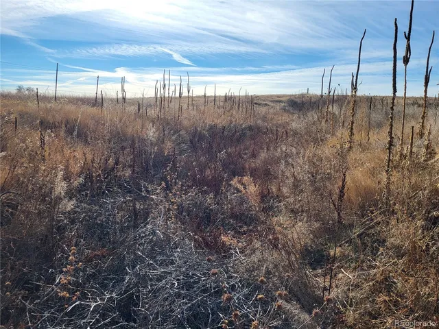 $350,000 | 35635 County Road 160, Agate, CO 80101