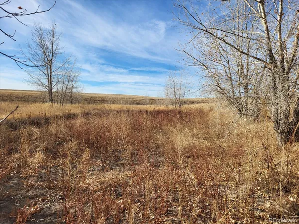 $350,000 | 35635 County Road 160, Agate, CO 80101