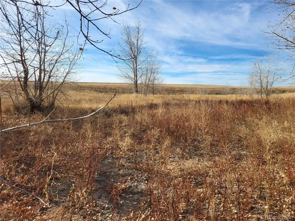 $350,000 | 35635 County Road 160, Agate, CO 80101