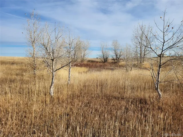 $350,000 | 35635 County Road 160, Agate, CO 80101