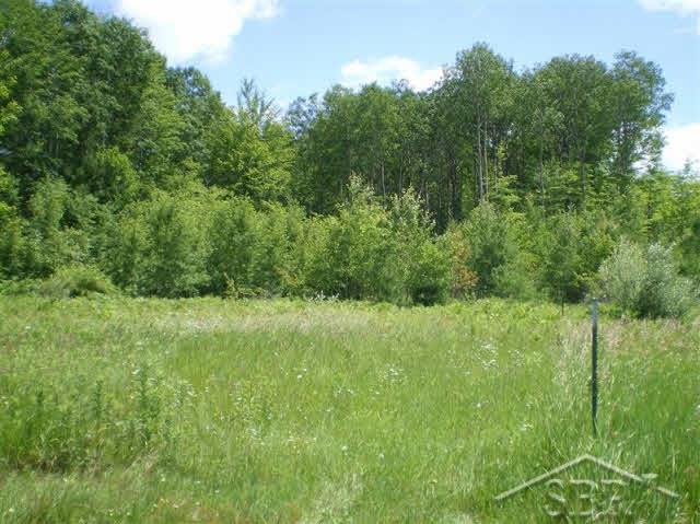 7790 Turtle Road Whittemore, MI 48770 - Photo 6 of 12 31298403-5.JPG