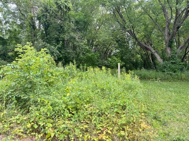 $35,000 | 3661 Willow Drive Northeast, Grand Rapids, MI 49525