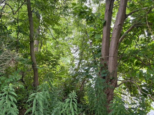 $35,000 | 3661 Willow Drive Northeast, Grand Rapids, MI 49525