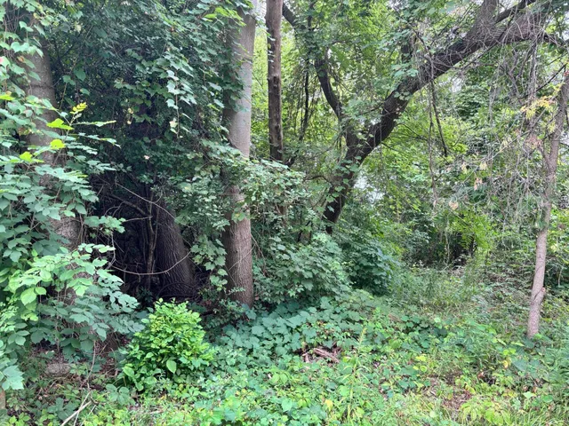 $35,000 | 3661 Willow Drive Northeast, Grand Rapids, MI 49525