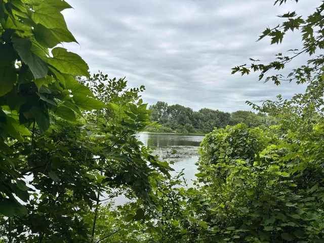 $35,000 | 3661 Willow Drive Northeast, Grand Rapids, MI 49525