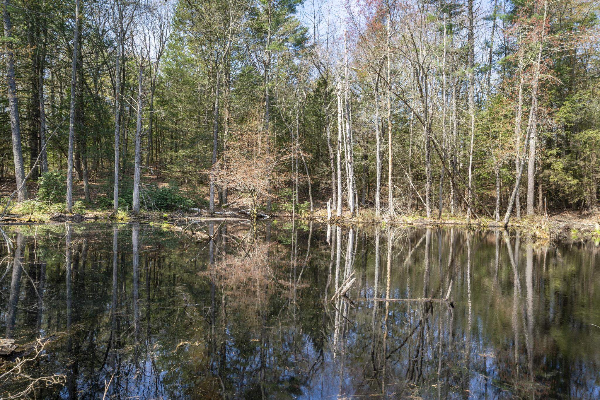 34 Cleveland Hill Road Brookline, NH 03033 - Photo 49 of 60 Gallery Image 49