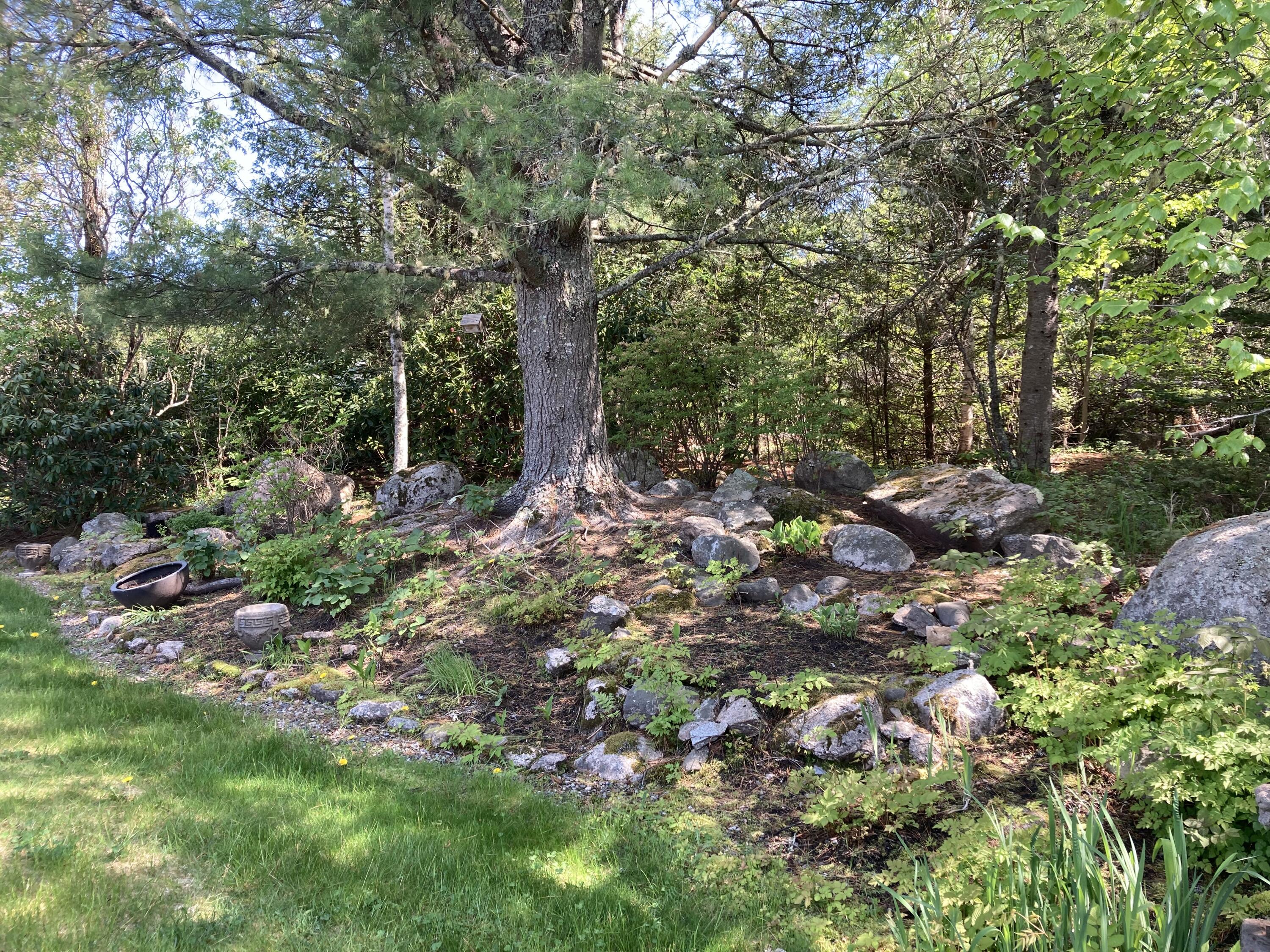 635 Corea Road Corea, ME 04624 - Photo 26 of 35 Natural rock garden spaces.