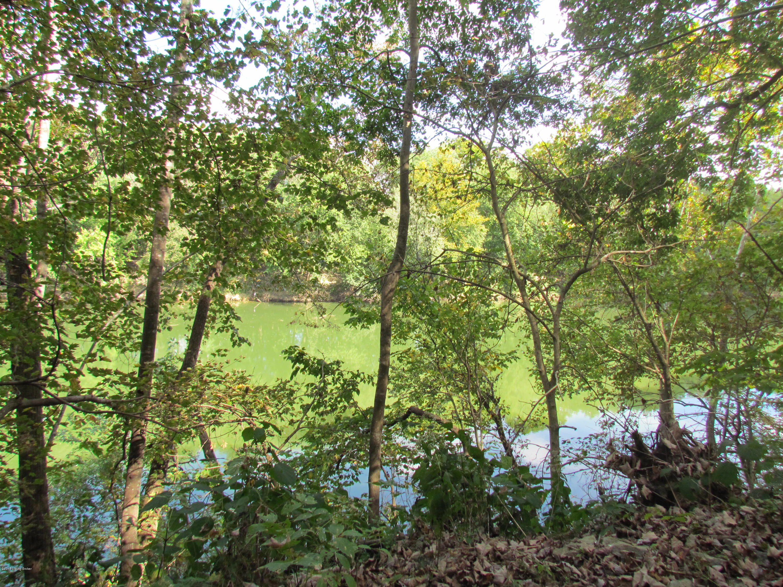 0 Lockport- Fallis Road Lockport, KY 40036 - Photo 3 of 28 LAND OVERLOOKS THE KENTUCKY RIVER