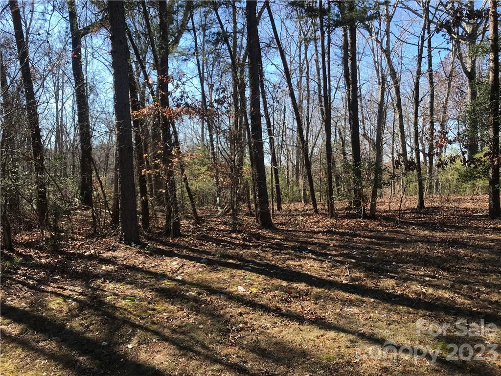 235 Buckhorn Road, Unit 256 Troy, NC 27371 - Photo 3 of 22 Gallery Image 3