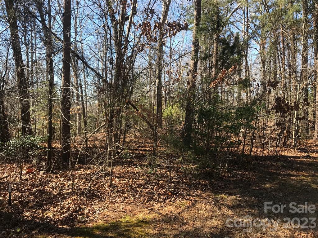 235 Buckhorn Road, Unit 256 Troy, NC 27371 - Photo 4 of 22 Gallery Image 4