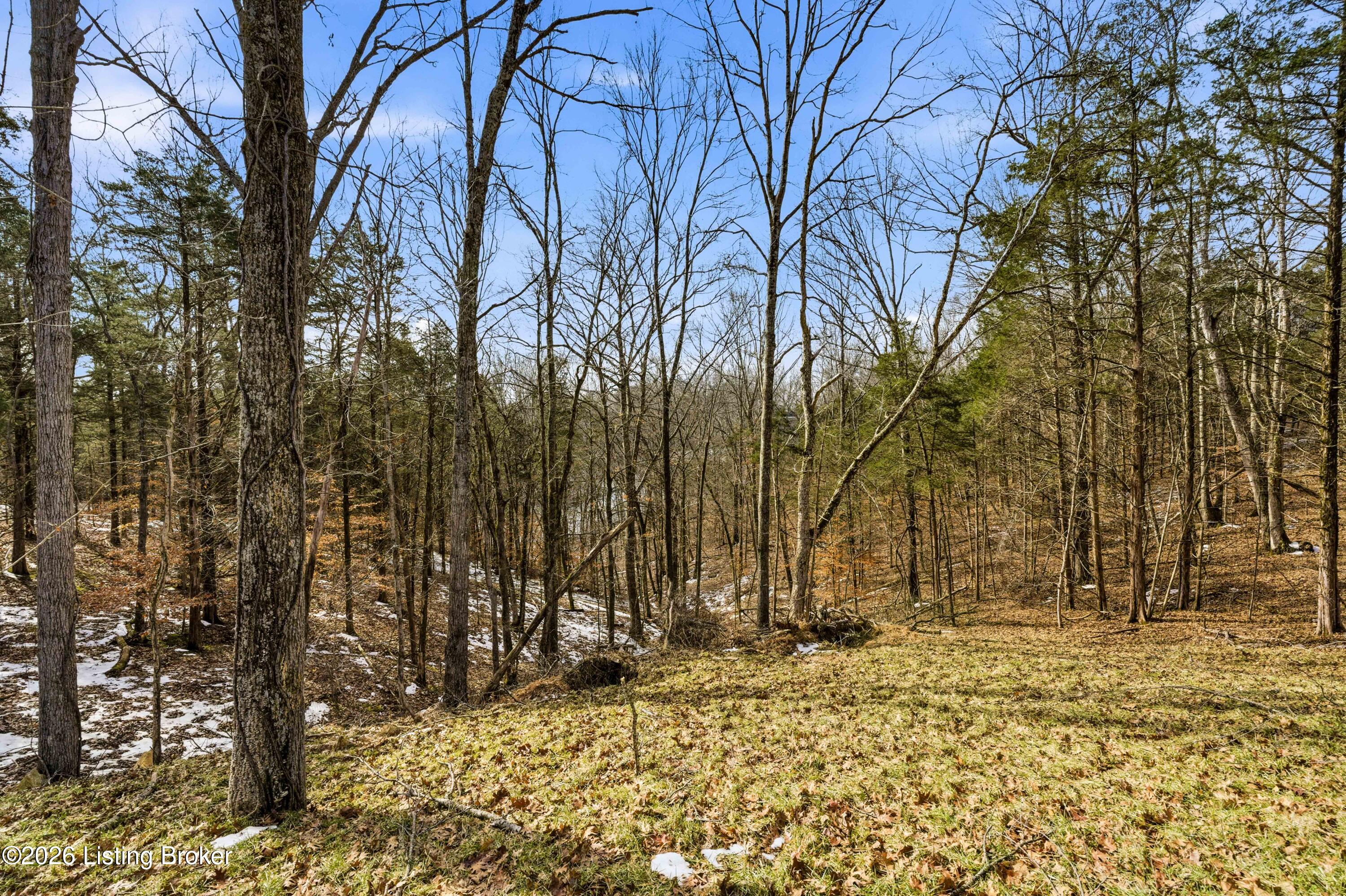 941 Cedar Point Road Mount Eden, KY 40046 - Photo 62 of 73 DSC05259
