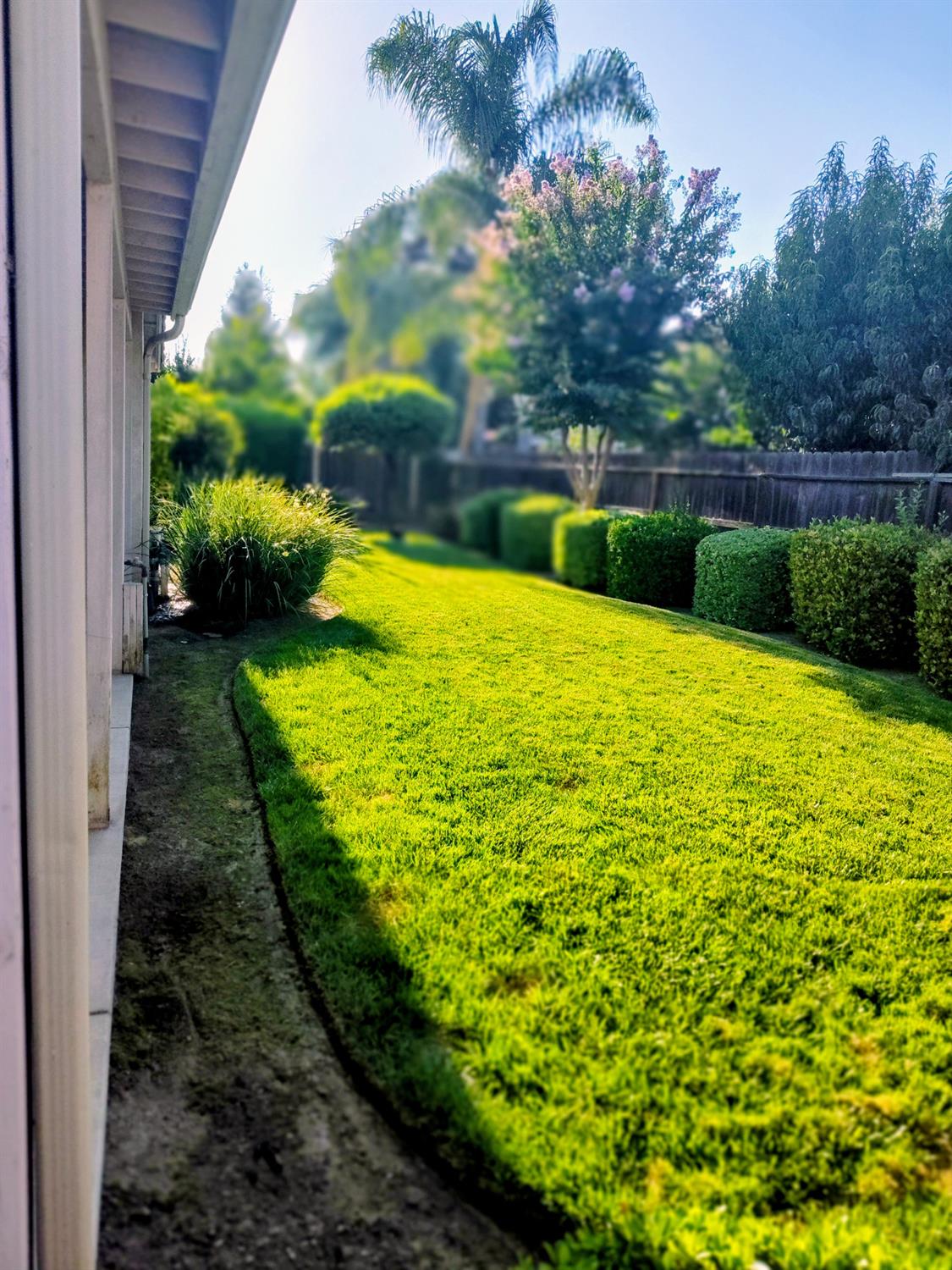2846 Edgar Avenue Sanger, CA 93657 - Photo 20 of 25 a view of back yard with green space