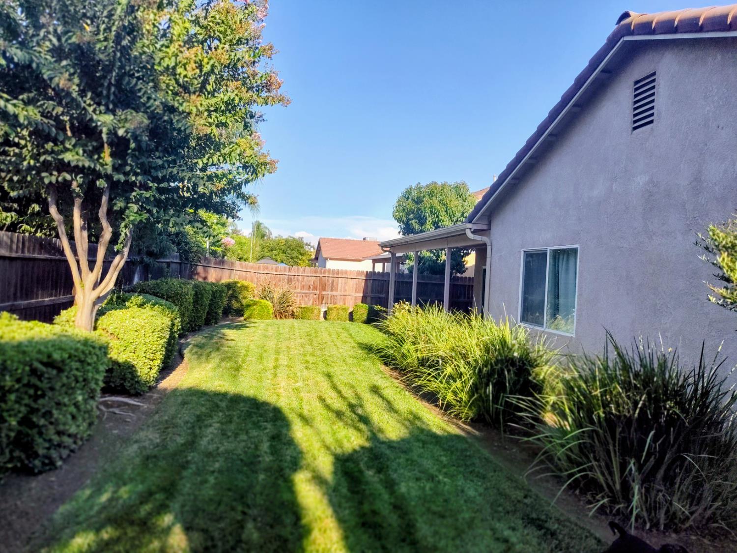 2846 Edgar Avenue Sanger, CA 93657 - Photo 22 of 25 a view of a house with a yard and potted plants